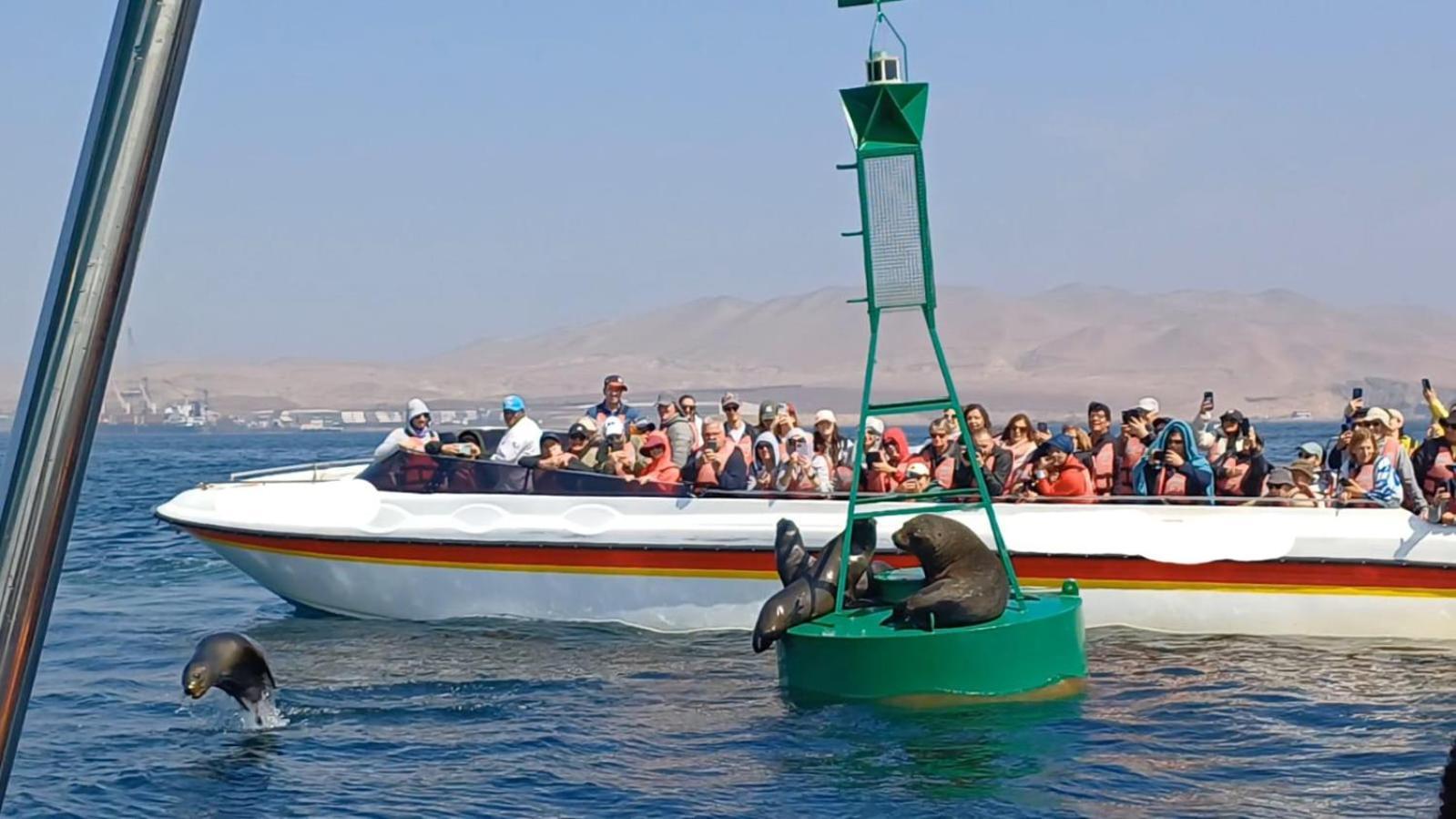 Arena Hostal Paracas Eksteriør billede